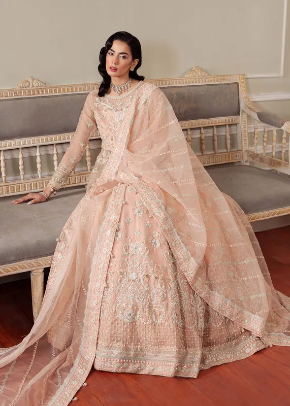 Dastoor Airah Festive 25 Peach Raw Silk – view 1 – Poshaq