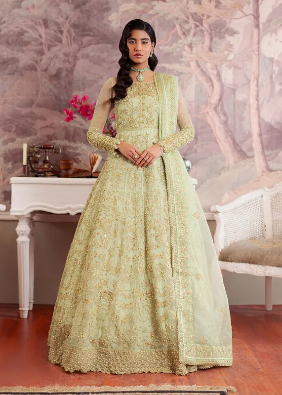 Dastoor Airah Festive 25 Organza – view 1 – Poshaq