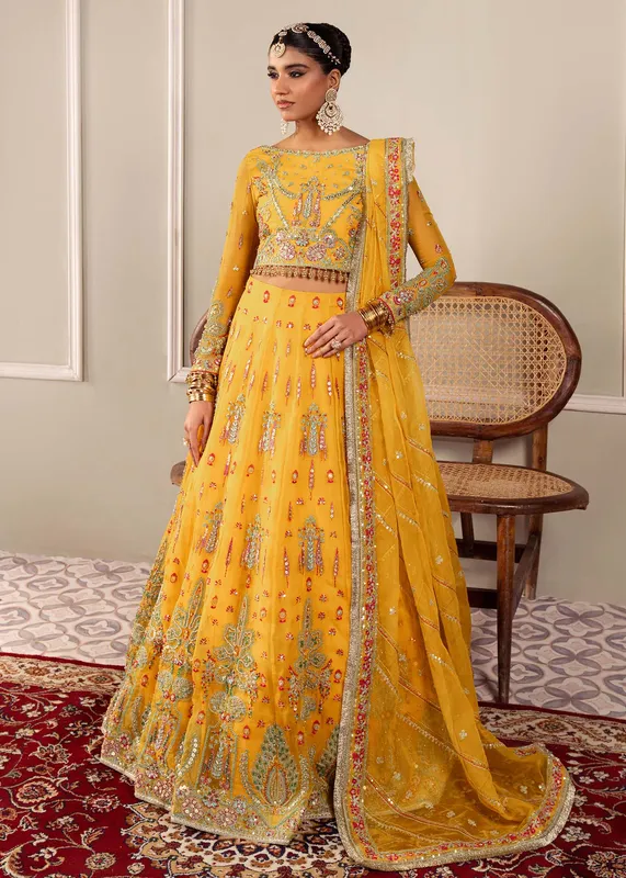 Dastoor Airah Festive 25 Yellow Organza – view 1 – Poshaq