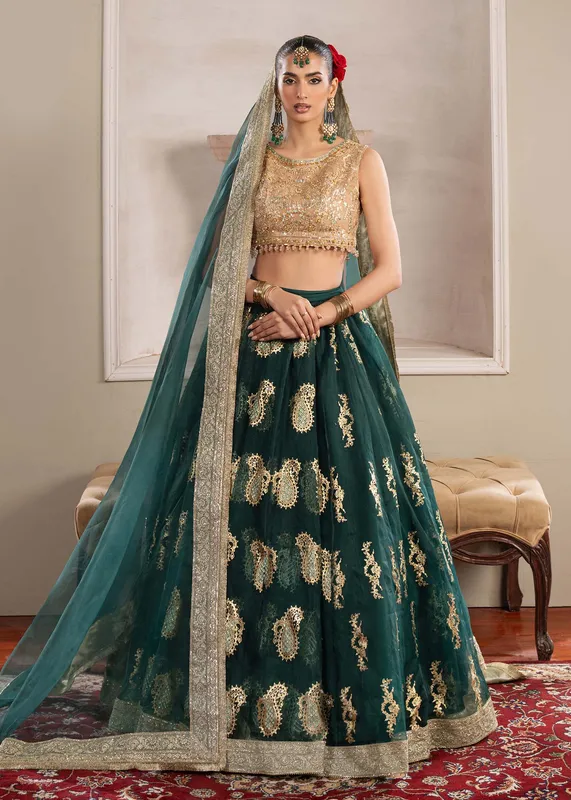 Dastoor Airah Festive 25 Green Organza – view 1 – Poshaq