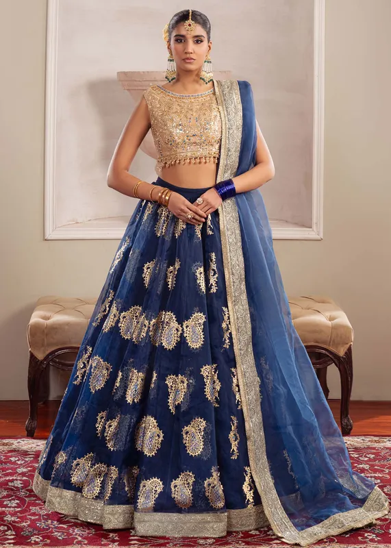 Dastoor Airah Festive 25 Blue Organza – view 1 – Poshaq