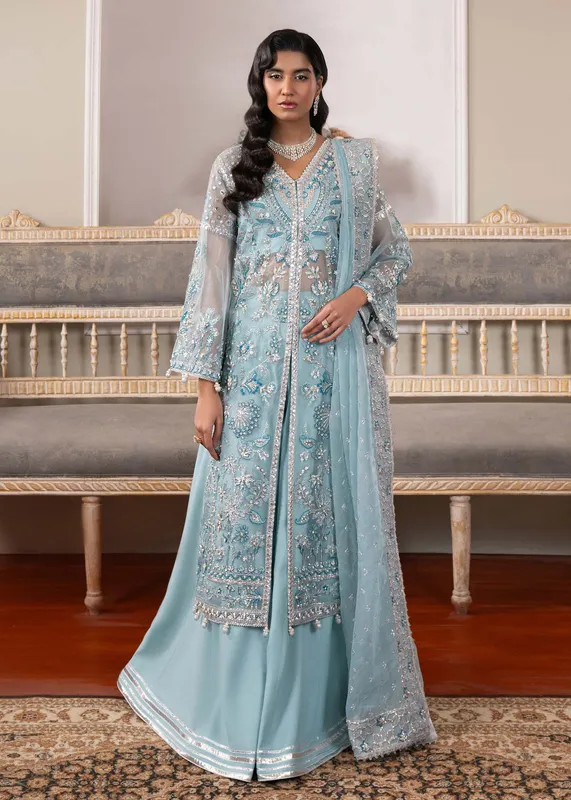Dastoor Airah Festive 25 Blue Raw Silk – view 1 – Poshaq