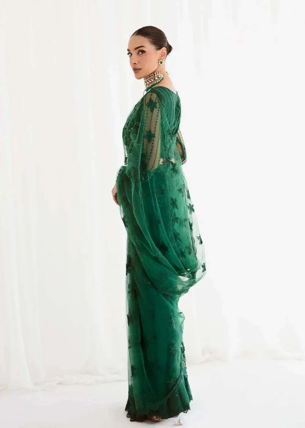 Dastoor Organza – view 5 – Poshaq