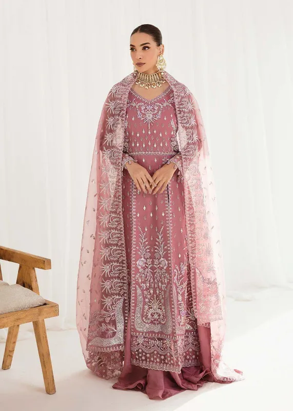 Dastoor Organza – view 1 – Poshaq