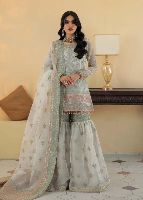 Dastoor Organza – view 1 – Poshaq