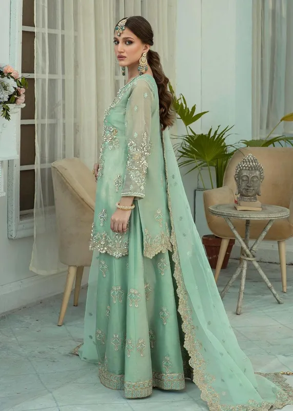 Dastoor Organza – view 1 – Poshaq