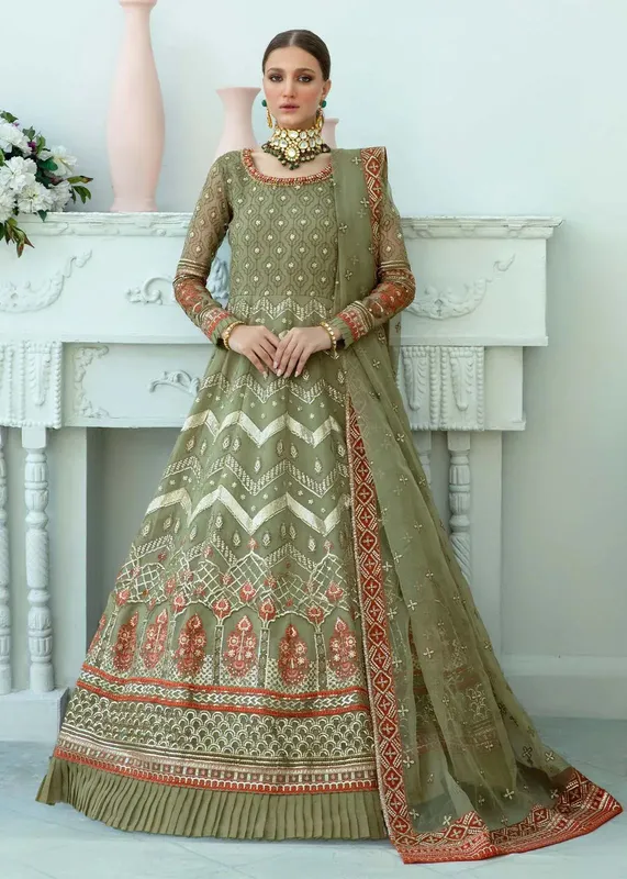 Dastoor Organza – view 1 – Poshaq