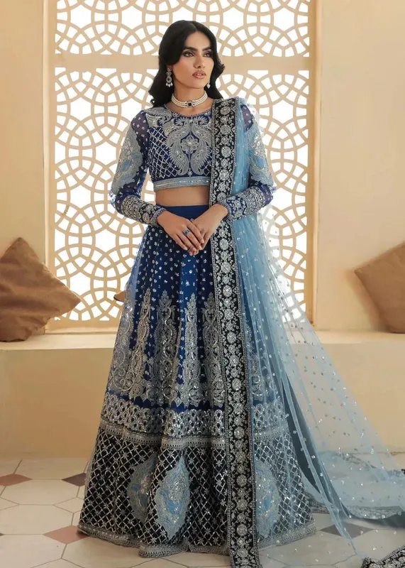Dastoor Organza – view 1 – Poshaq