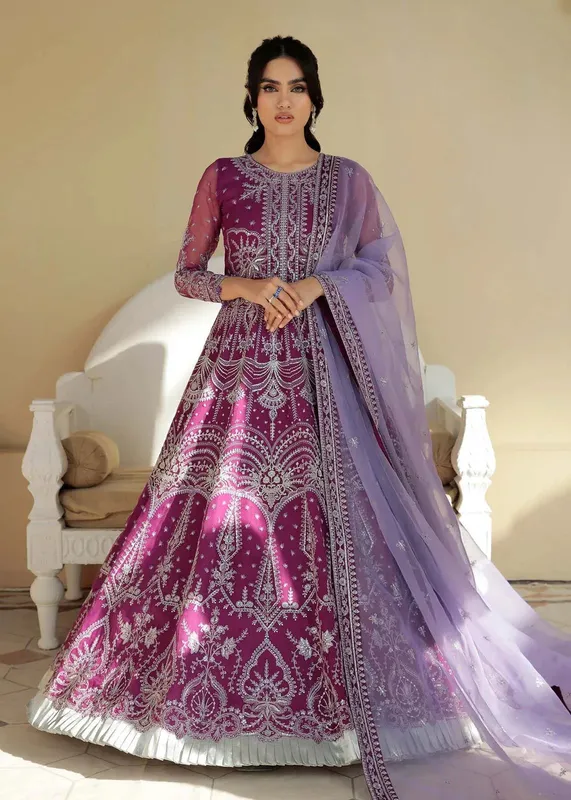 Dastoor Organza – view 1 – Poshaq