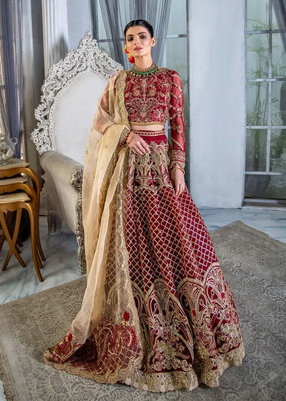 Dastoor Organza – view 1 – Poshaq