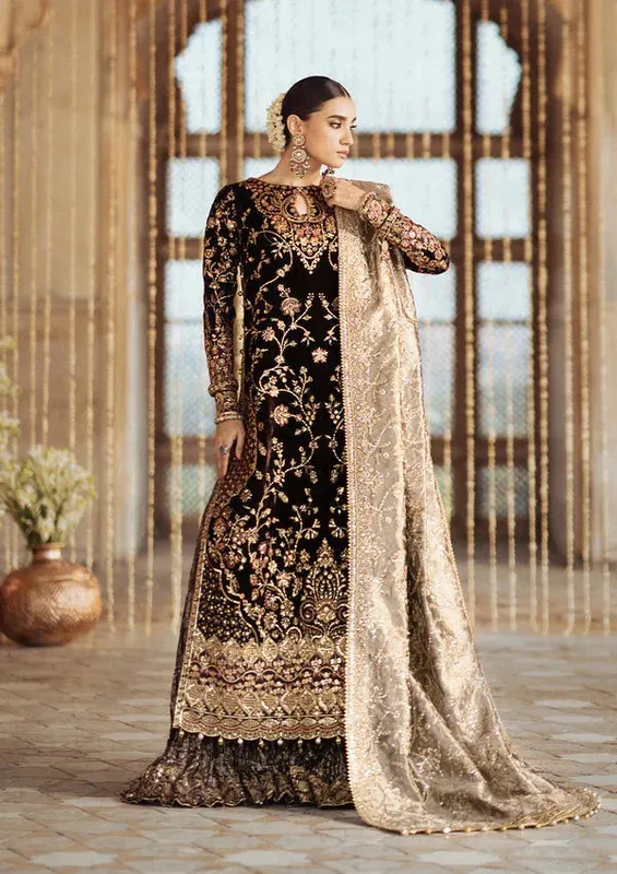 Aik Atelier Dastoor Velvet 24 Organza – view 1 – Poshaq