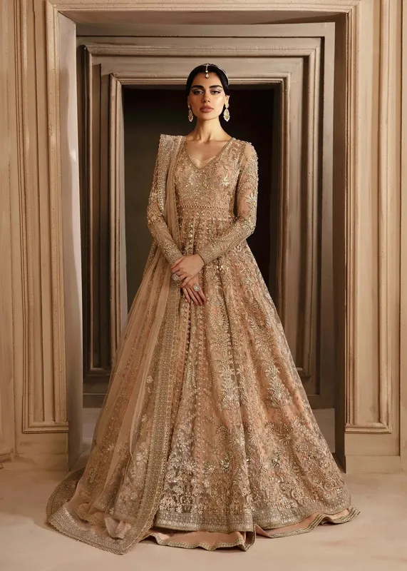 Akbar Aslam Deewani Wedding Formals Organza – view 1 – Poshaq