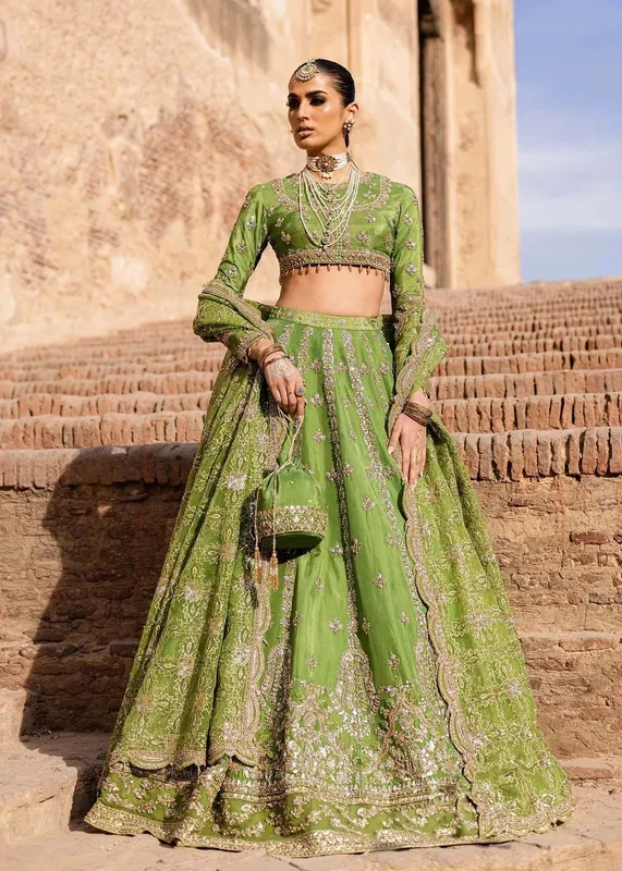 Akbar Aslam Dastaan Luxury Formals Organza – view 1 – Poshaq