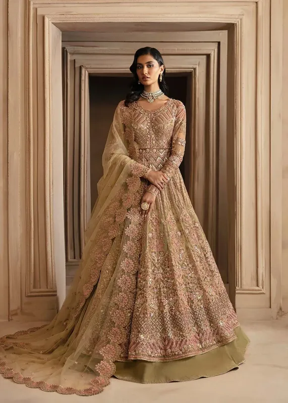 Akbar Aslam Deewani Wedding Formals Dark Beige Organza – view 1 – Poshaq