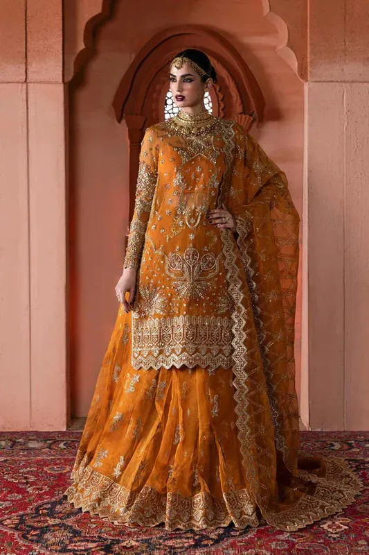 Akbar Aslam Sultania Luxury Formals 25 Organza – view 1 – Poshaq