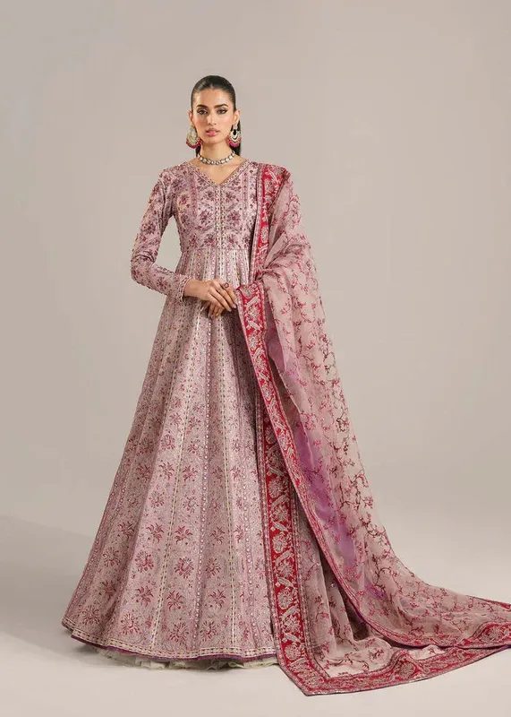 Akbar Aslam Afsana Wedding Formals Pink Organza – view 1 – Poshaq