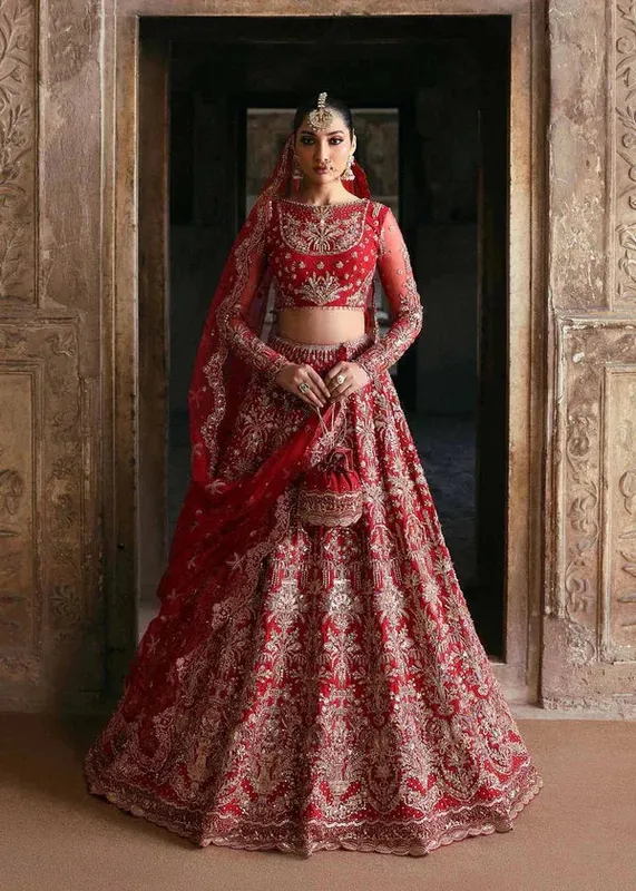 Akbar Aslam Rajkumari Bridals Organza – view 1 – Poshaq
