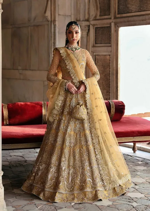 Akbar Aslam Rajkumari Bridals Organza – view 1 – Poshaq