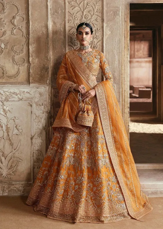 Akbar Aslam Rajkumari Bridals Organza – view 1 – Poshaq