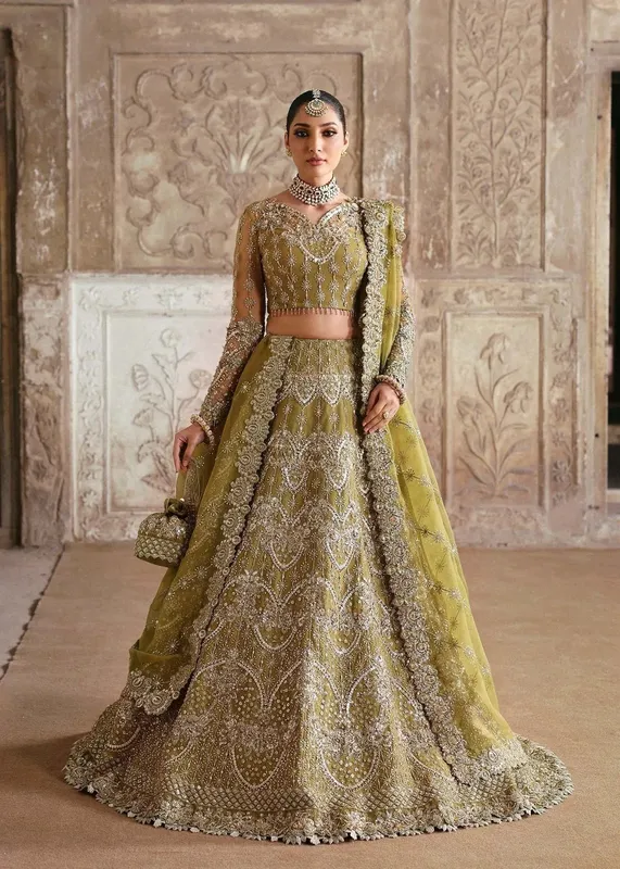 Akbar Aslam Rajkumari Bridals Mehndi Organza – view 1 – Poshaq