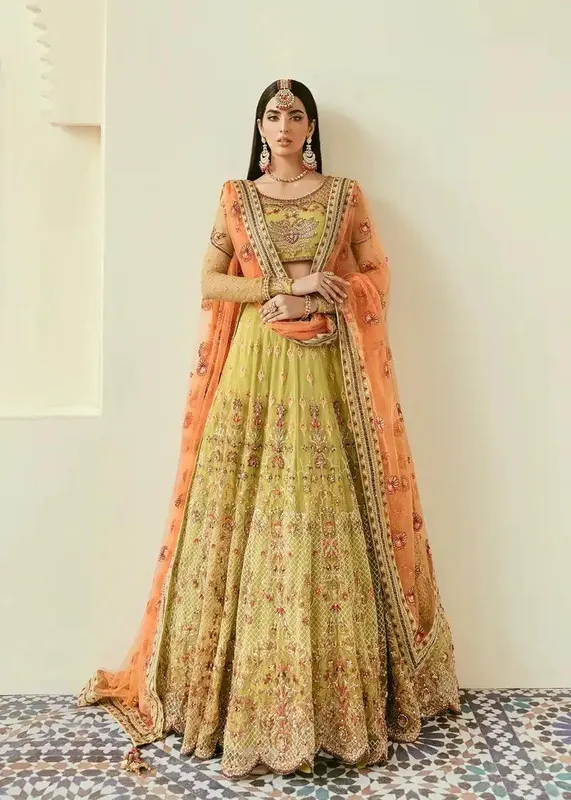 Akbar Aslam Elinor Formals Vol 1 Green Organza – view 1 – Poshaq