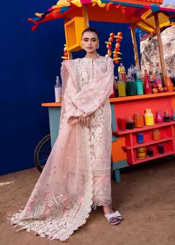 Akbar Aslam Oasis Lawn 24 Pink Organza – view 1 – Poshaq