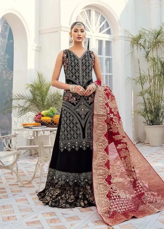 Akbar Aslam Riwayat-e-Khas Black Organza – view 1 – Poshaq