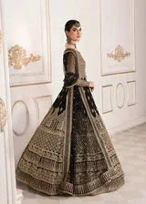 Akbar Aslam Organza – view 2 – Poshaq