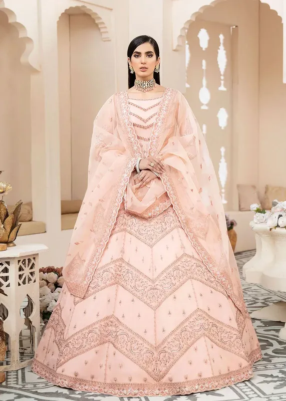 Akbar Aslam Organza – view 1 – Poshaq
