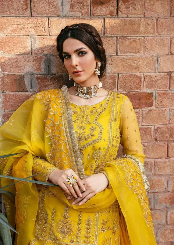 Akbar Aslam Organza – view 1 – Poshaq