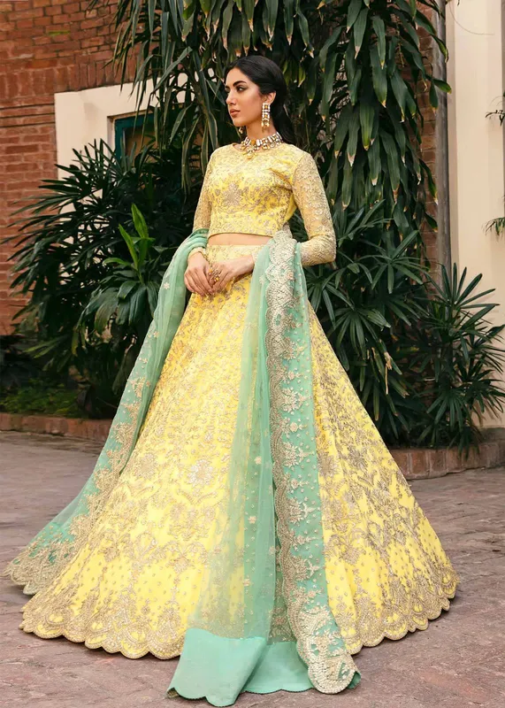 Akbar Aslam Organza – view 1 – Poshaq
