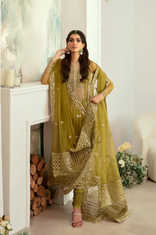 Akbar Aslam Velora Formal Pret – view 1 – Poshaq