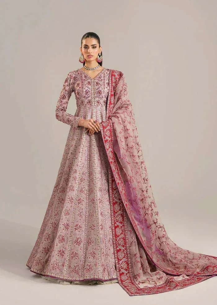 Akbar Aslam Organza – view 1 – Poshaq