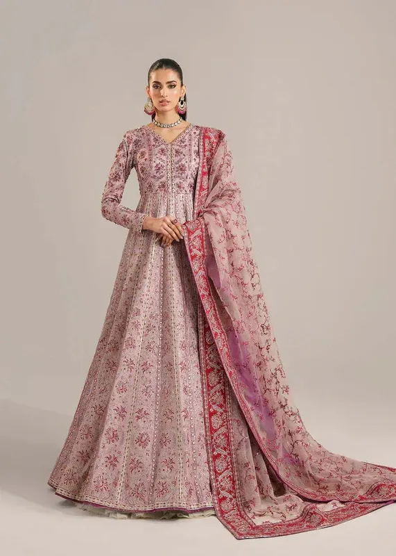 Akbar Aslam Organza – view 1 – Poshaq