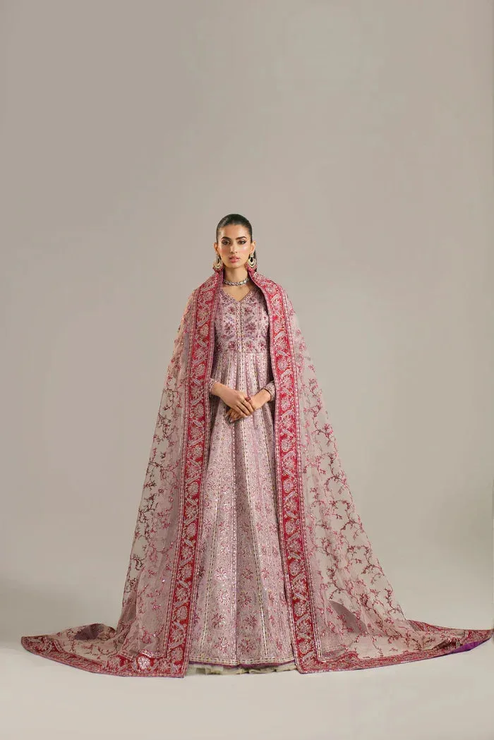 Akbar Aslam Organza – view 4 – Poshaq