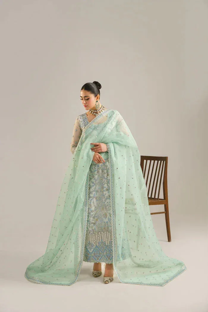 Akbar Aslam Organza – view 3 – Poshaq