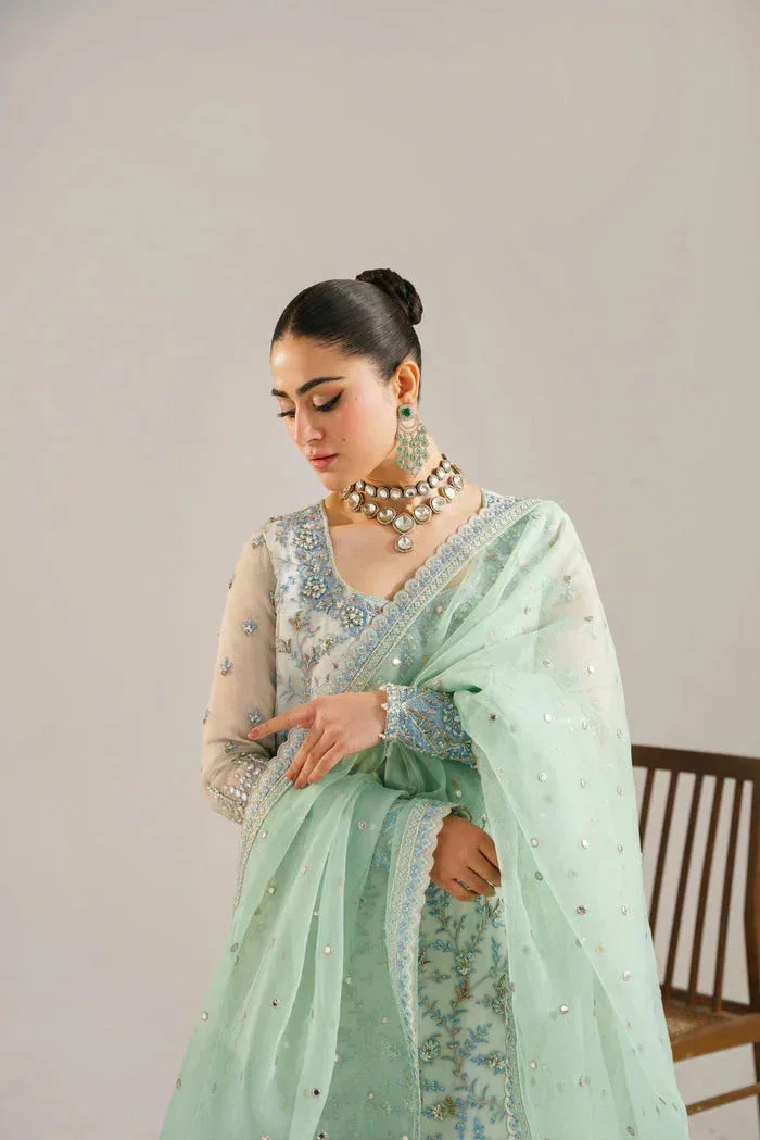 Akbar Aslam Organza – view 5 – Poshaq
