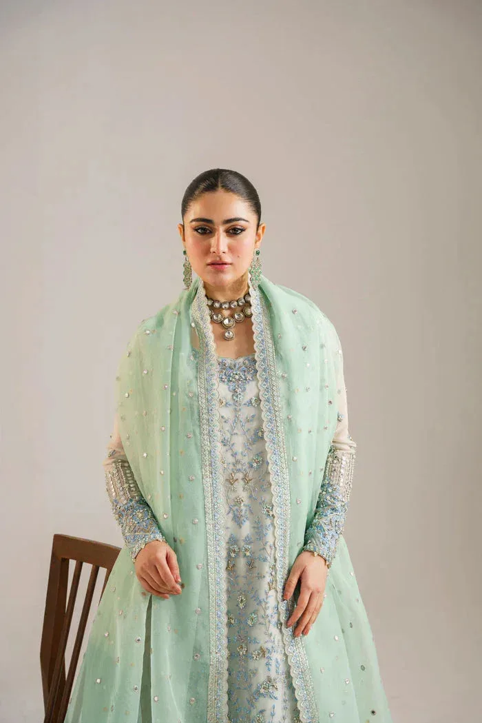 Akbar Aslam Organza – view 6 – Poshaq