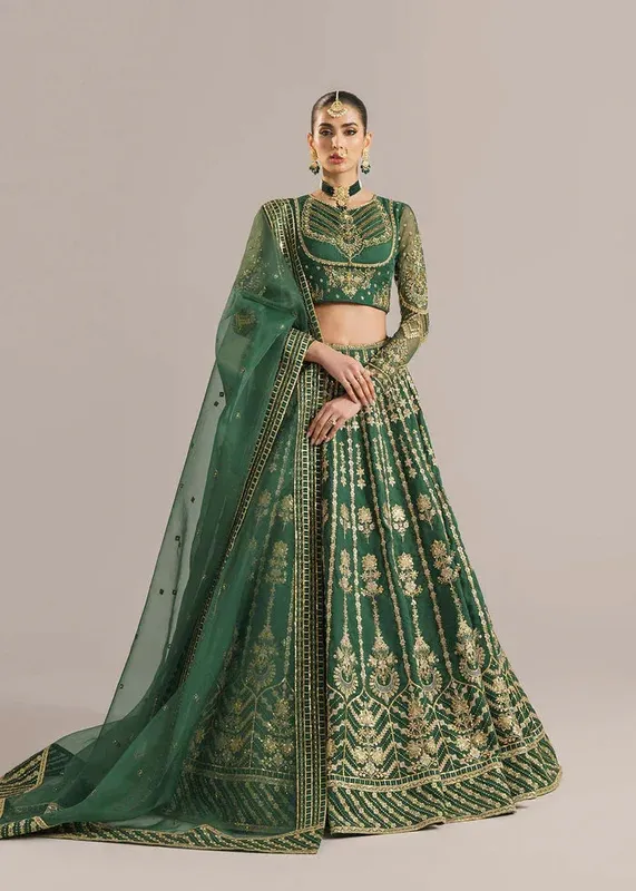 Akbar Aslam Organza – view 1 – Poshaq