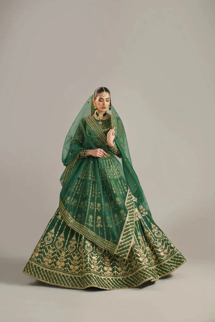 Akbar Aslam Organza – view 4 – Poshaq