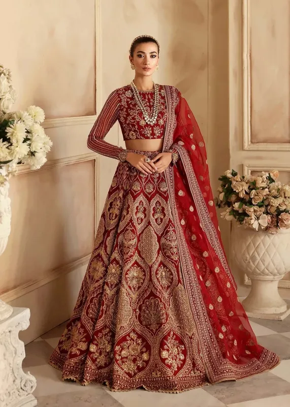 Akbar Aslam Aleia Luxury Formals Maroon Organza – view 1 – Poshaq