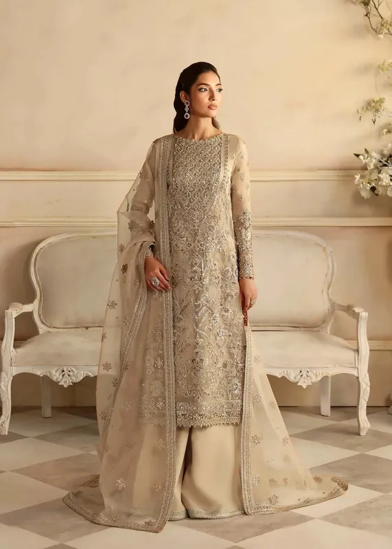 Akbar Aslam Aleia Luxury Formals Beige Organza – view 1 – Poshaq