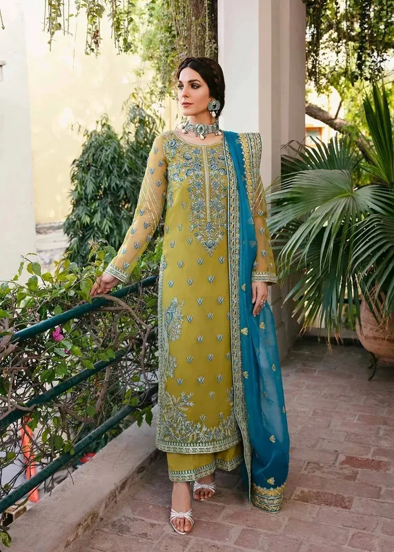 Akbar Aslam Wedding Formals Green Organza – view 1 – Poshaq