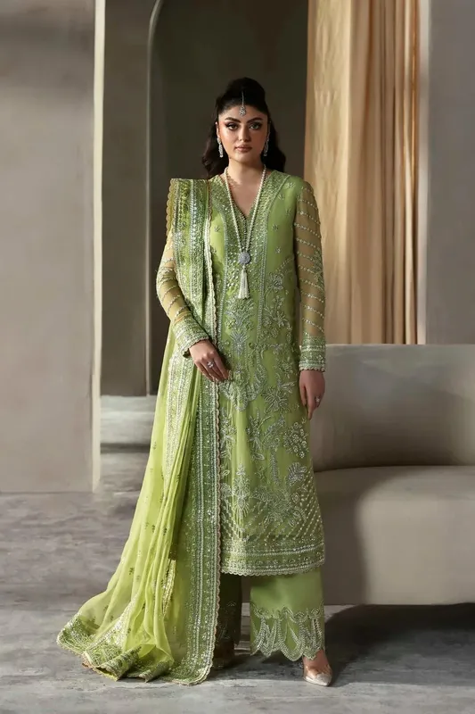 Akbar Aslam Meeras Luxury Chiffon 25 Organza – view 1 – Poshaq