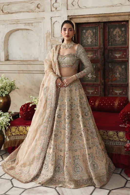 Akbar Aslam Rang Mehal Organza – view 1 – Poshaq