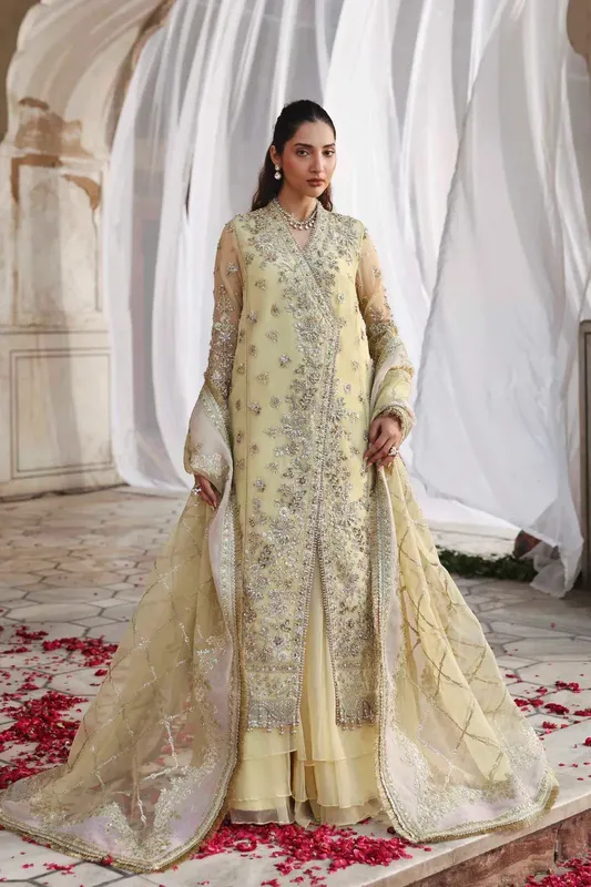 Akbar Aslam Rang Mehal Organza – view 1 – Poshaq
