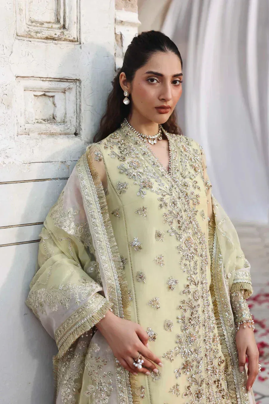 Akbar Aslam Rang Mehal Organza – view 5 – Poshaq