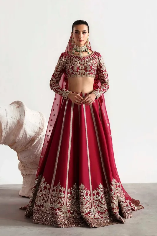 Akbar Aslam Luxury Formals 25 Organza – view 1 – Poshaq
