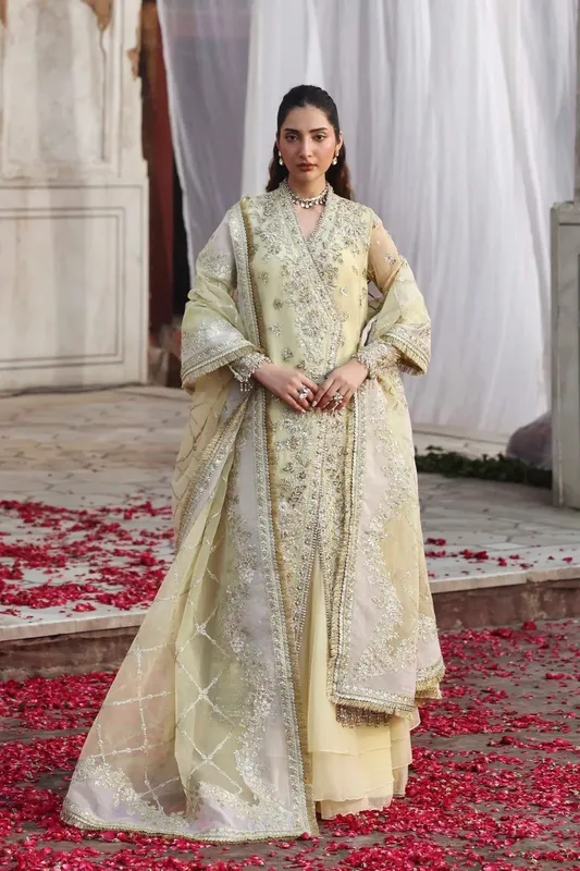 Akbar Aslam Rang Mahal Formals Organza – view 1 – Poshaq
