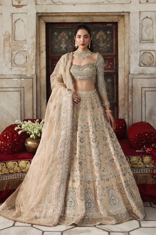 Akbar Aslam Rang Mahal Formals Organza – view 1 – Poshaq